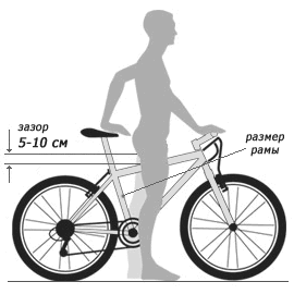 Как выбрать размер рамы велосипеда