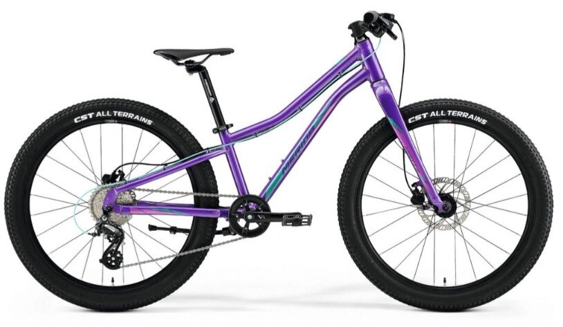 Велосипед Merida Matts J.24 Dark Purple (Pale Pink/Teal) A62211A 01595