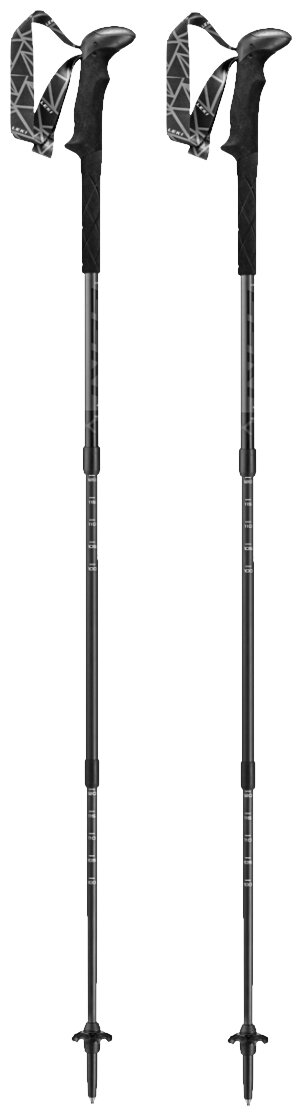Палки трекинговые Leki Black Series SLS XTG Poles (Black) 651 21291