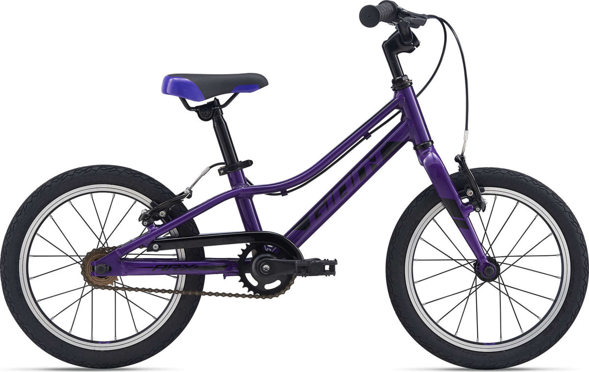 Велосипед Giant ARX 16 F/W Purple 2104039610