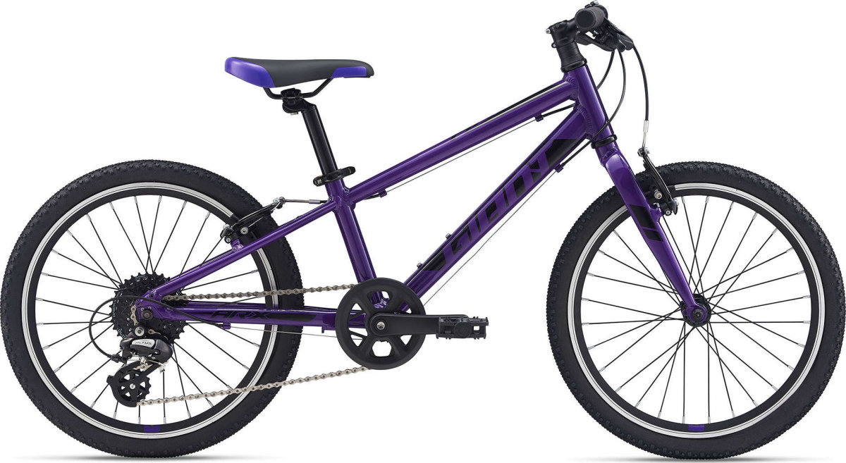 Велосипед Giant ARX 20 Purple 2104040610
