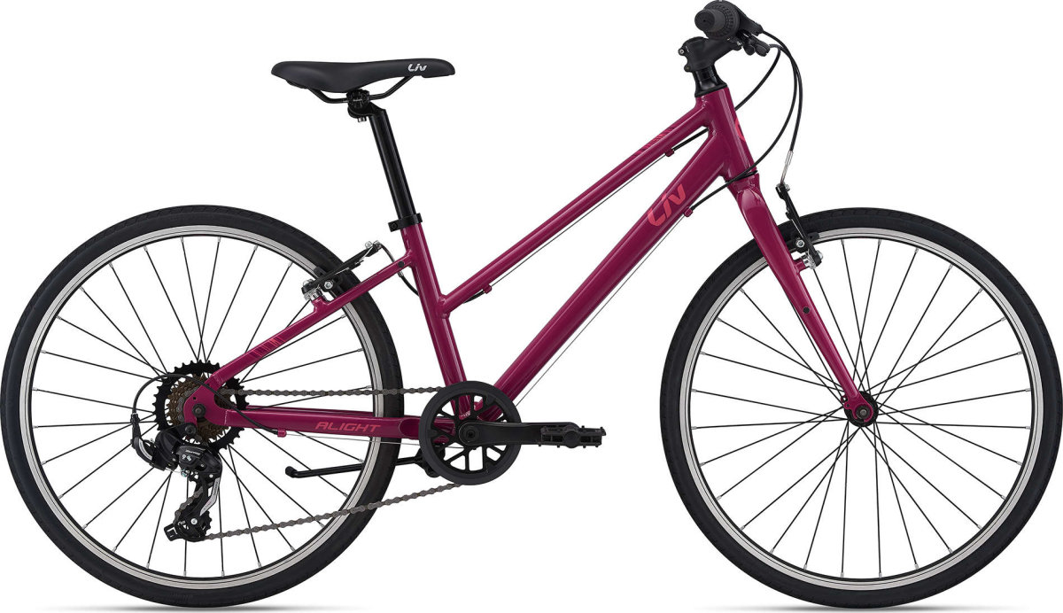 Велосипед Liv Alight 24 Purple 2104006120