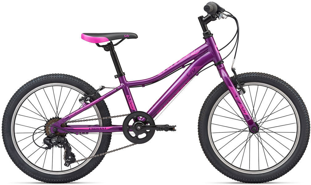 Велосипед Liv Enchant 20 Lite (Violet Storm) 2204012220