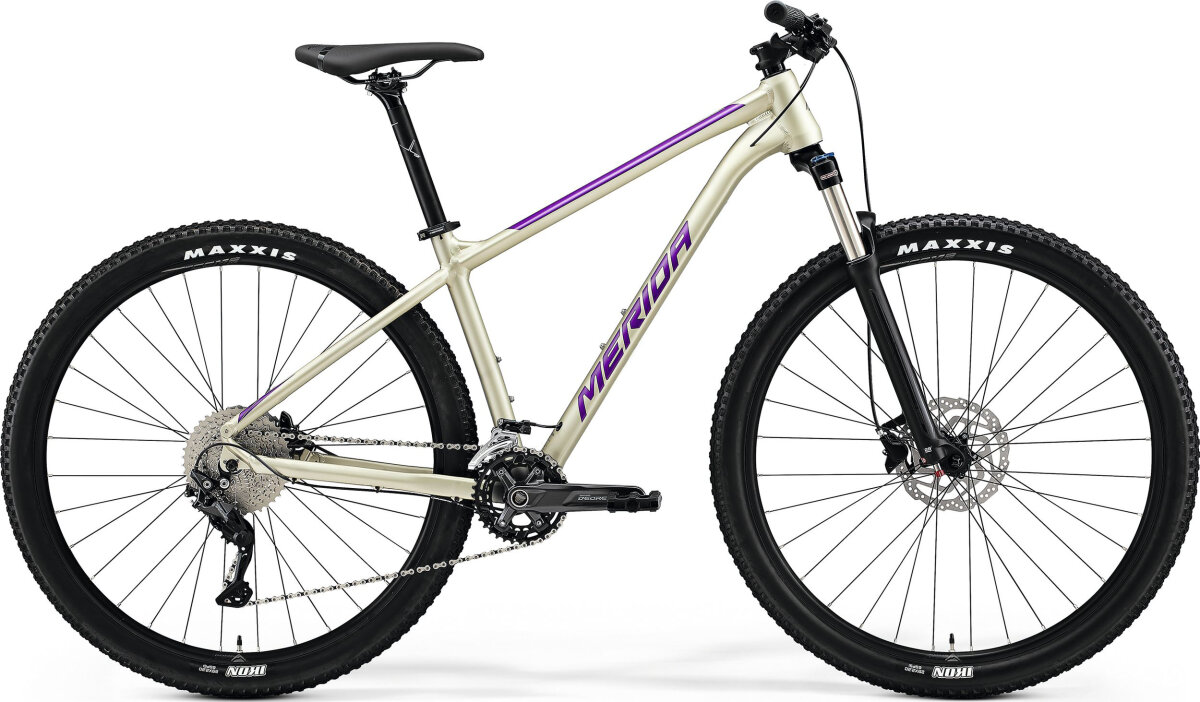 Велосипед Merida Big.Nine 300 Silk Champagne (Purple) A62211A 01088, A62211A 01087