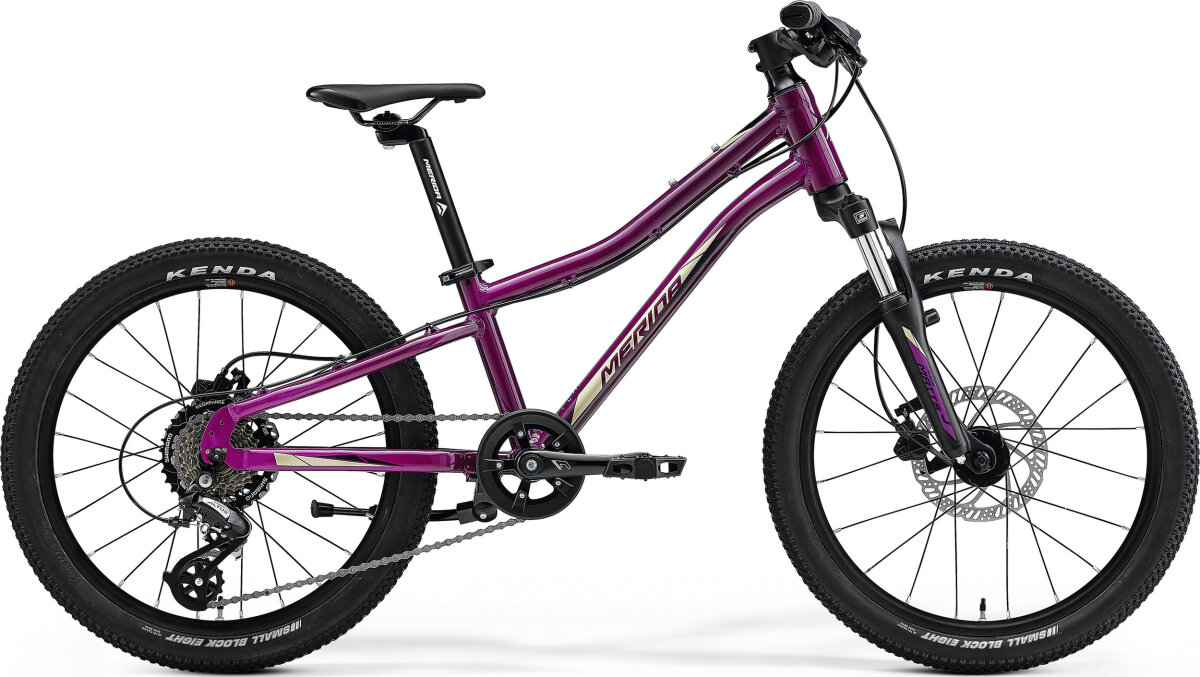 Велосипед Merida Matts J.20 Purple (Black/Champagne) A62211A 02038