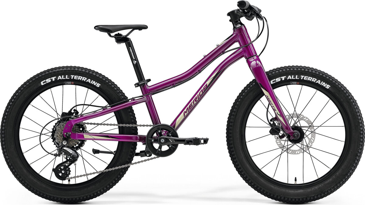 Велосипед Merida Matts J.20+ Purple (Black/Champagne) A62211A 02039