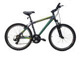 Велосипед Comanche Prairie Comp M серебристо-зеленый