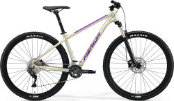 Велосипед Merida Big.Nine 300 Silk Champagne (Purple)