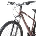 Велосипед Spirit Echo 9.2 (Dark Red/Brown) 1 Spirit Echo 9.2 52029179250, 52029179255, 52029179245