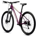 Велосипед Merida Big.Nine 60-2X Silk Purple (Champaigne) 10 Merida Big Nine.60-2X A62211A 01982, A62211A 01981, A62211A 01979, A62211A 01980