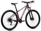 Велосипед Merida Big.Nine 60-2X Silk Purple (Champaigne) 12 Merida Big Nine.60-2X A62211A 01982, A62211A 01981, A62211A 01979, A62211A 01980