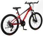 Велосипед RoyalBaby Fema MTB 1.0 24" (Red) 2 RoyalBaby Fema MTB 1.0 RB24-10-RED