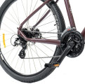 Велосипед Spirit Echo 9.2 (Dark Red/Brown) 4 Spirit Echo 9.2 52029179250, 52029179255, 52029179245