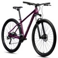Велосипед Merida Big.Nine 60-2X Silk Purple (Champaigne) 7 Merida Big Nine.60-2X A62211A 01982, A62211A 01981, A62211A 01979, A62211A 01980