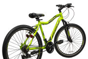 Велосипед Ranger MAGNUM COMP 26 green Ranger MAGNUM COMP back RG100134, RG100126, RG100127